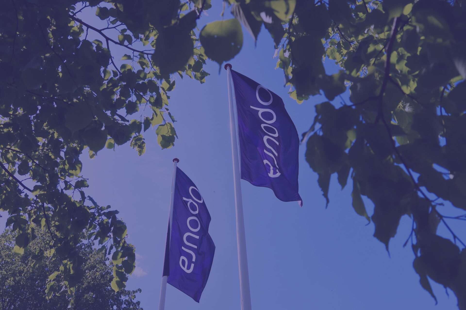 Opoura flags in the sky – ESG Report 2024 resilient growth